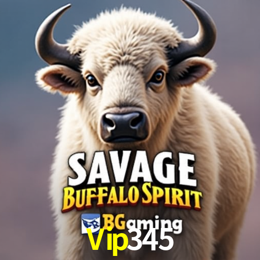 Slots na Plataforma Vip345